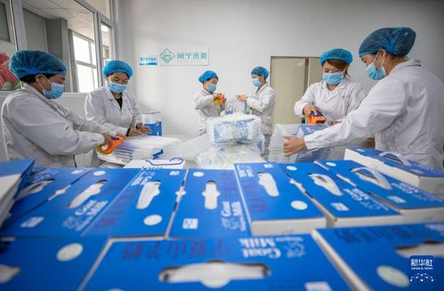 堅持統籌發展和安全 落實新時代推動西部大開發座談會精神系列綜述之四 新興能源技術研發
